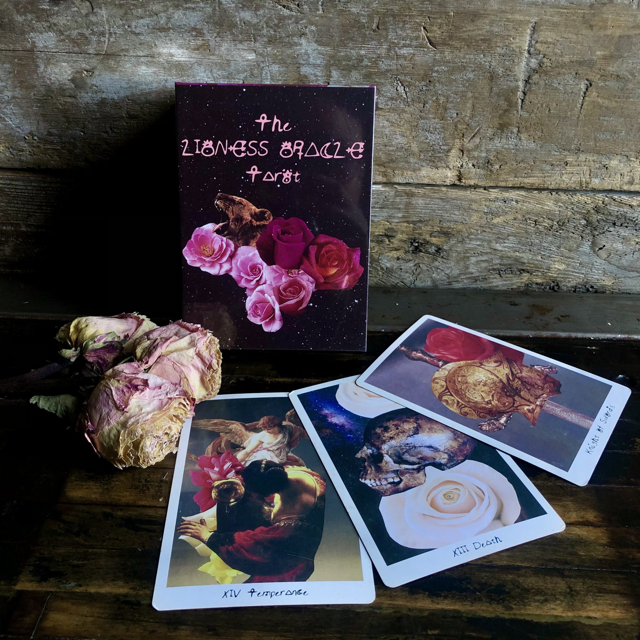 The Lioness Oracle Tarot. RitualCravt Metaphysical & Witchy Wares