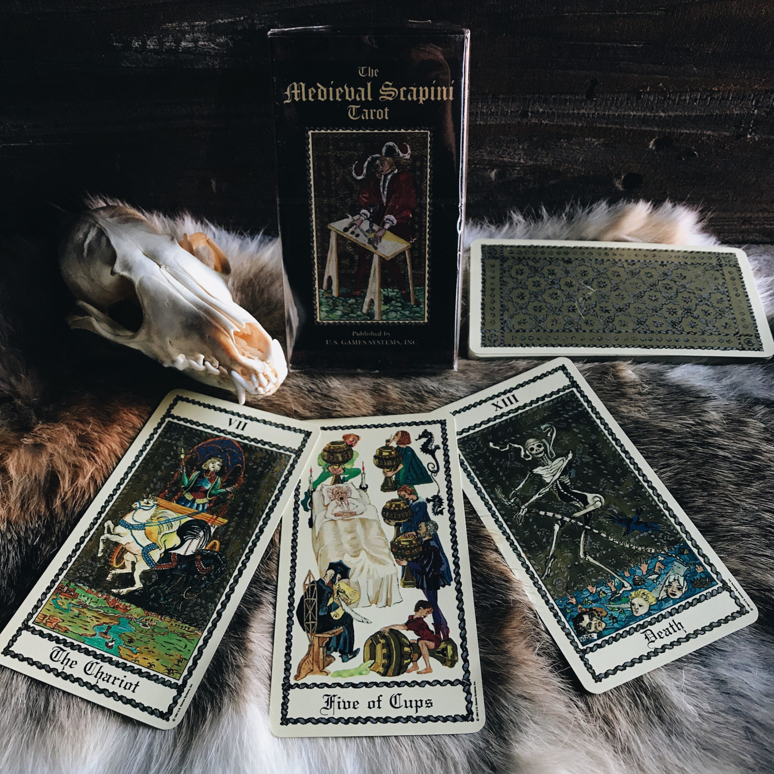 The Medieval Scapini Tarot Deck. - RitualCravt | Metaphysical & Witchy ...