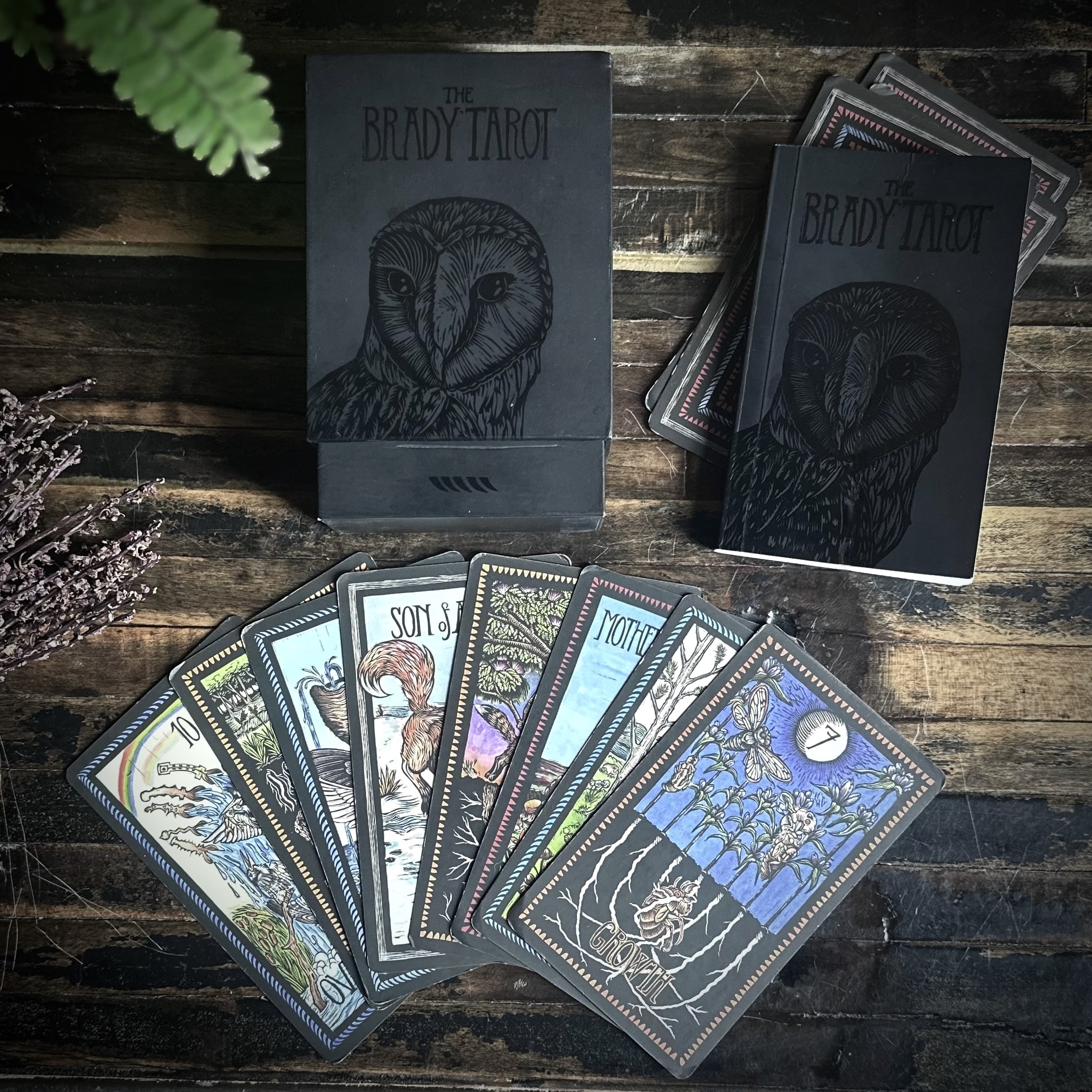 THE BRADY TAROT 海外タロットカード Brady Tarot, Second Edition