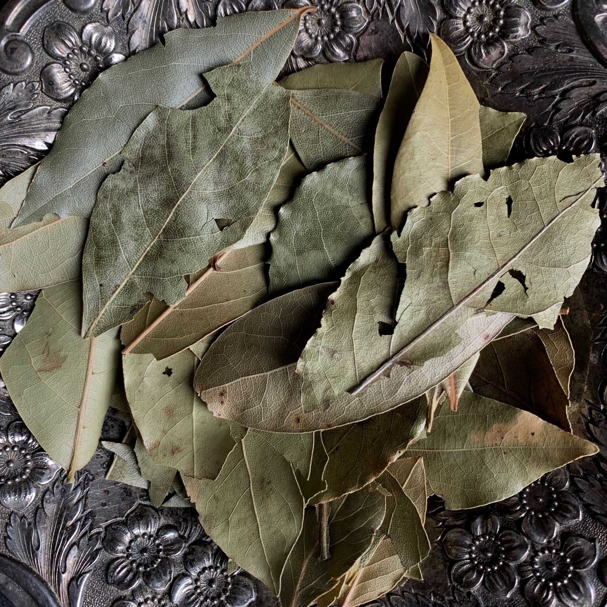 Bay Leaf. RitualCravt Metaphysical & Witchy Wares Colorado