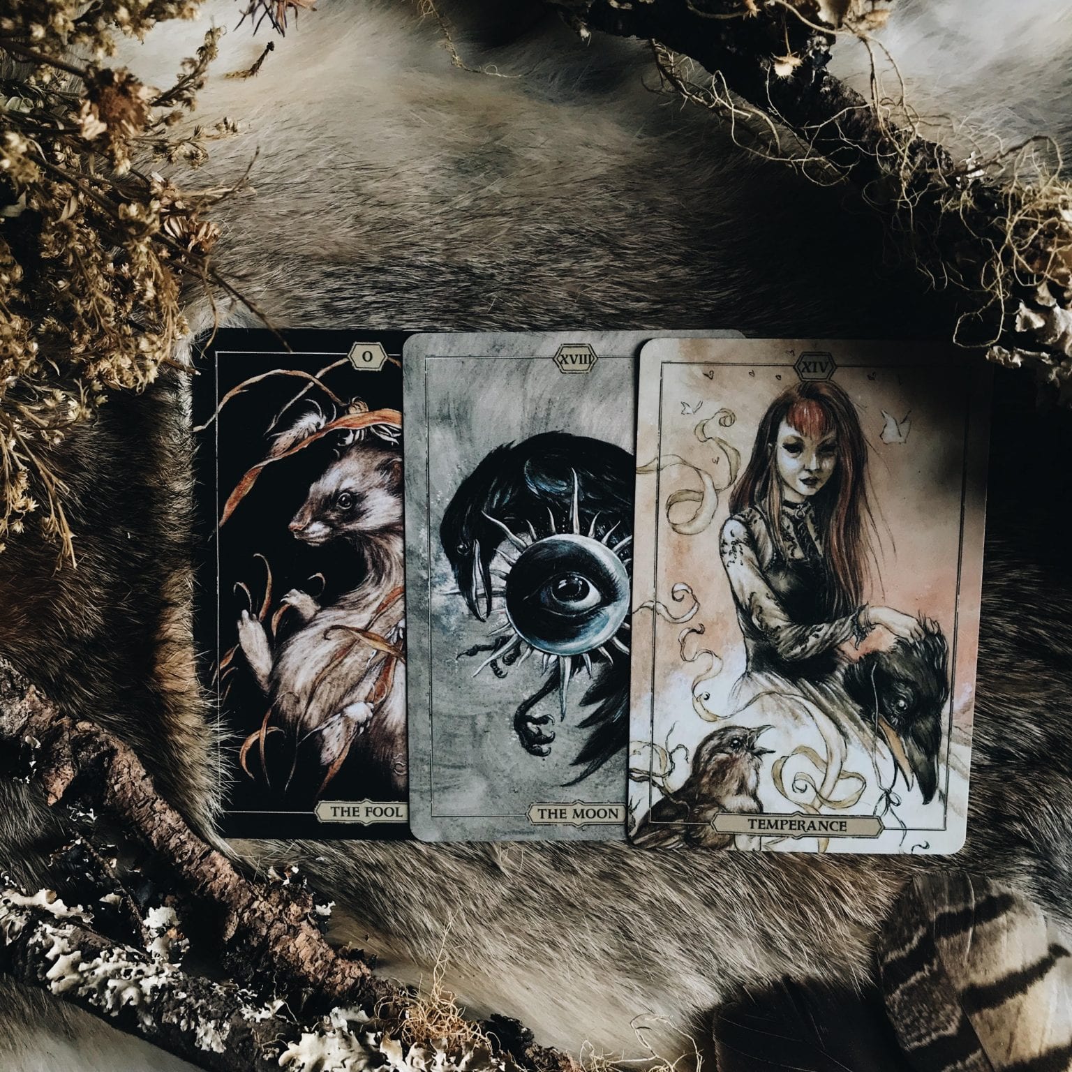 Hush Tarot. By Jeremy Hush. RitualCravt Wheat Ridge, CO
