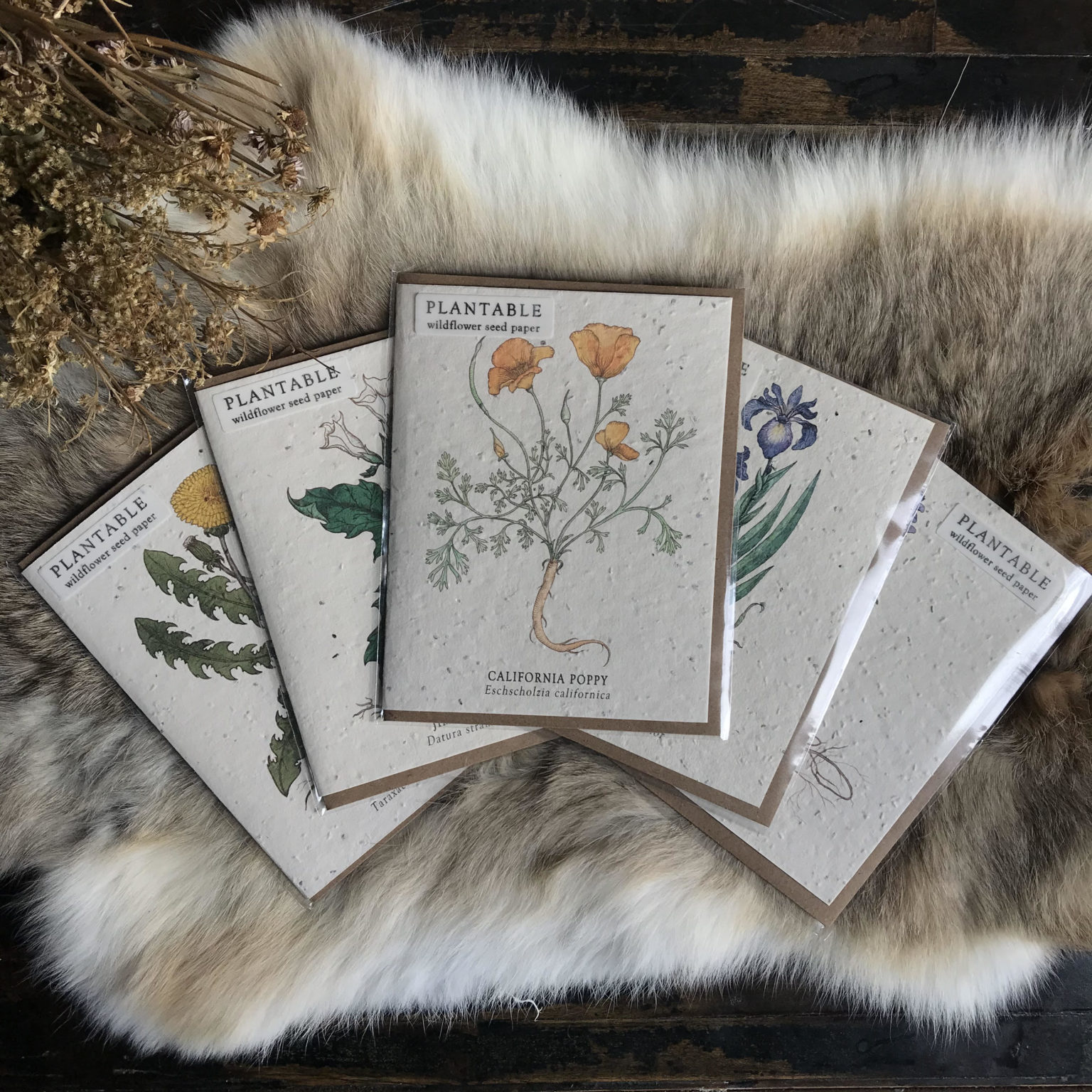 Plantable Wildflower Seed Paper Cards. By The Bower Studio. RitualCravt