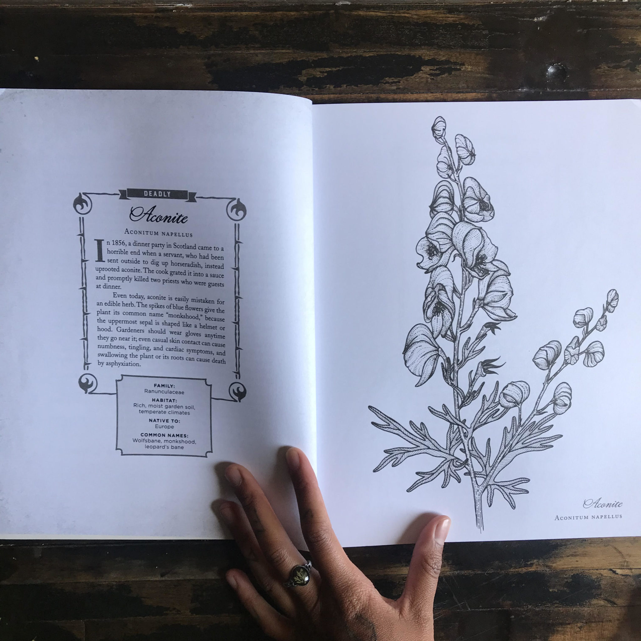 The Wicked Plants Coloring Book. By Amy Stewart. - RitualCravt | Wheat ...