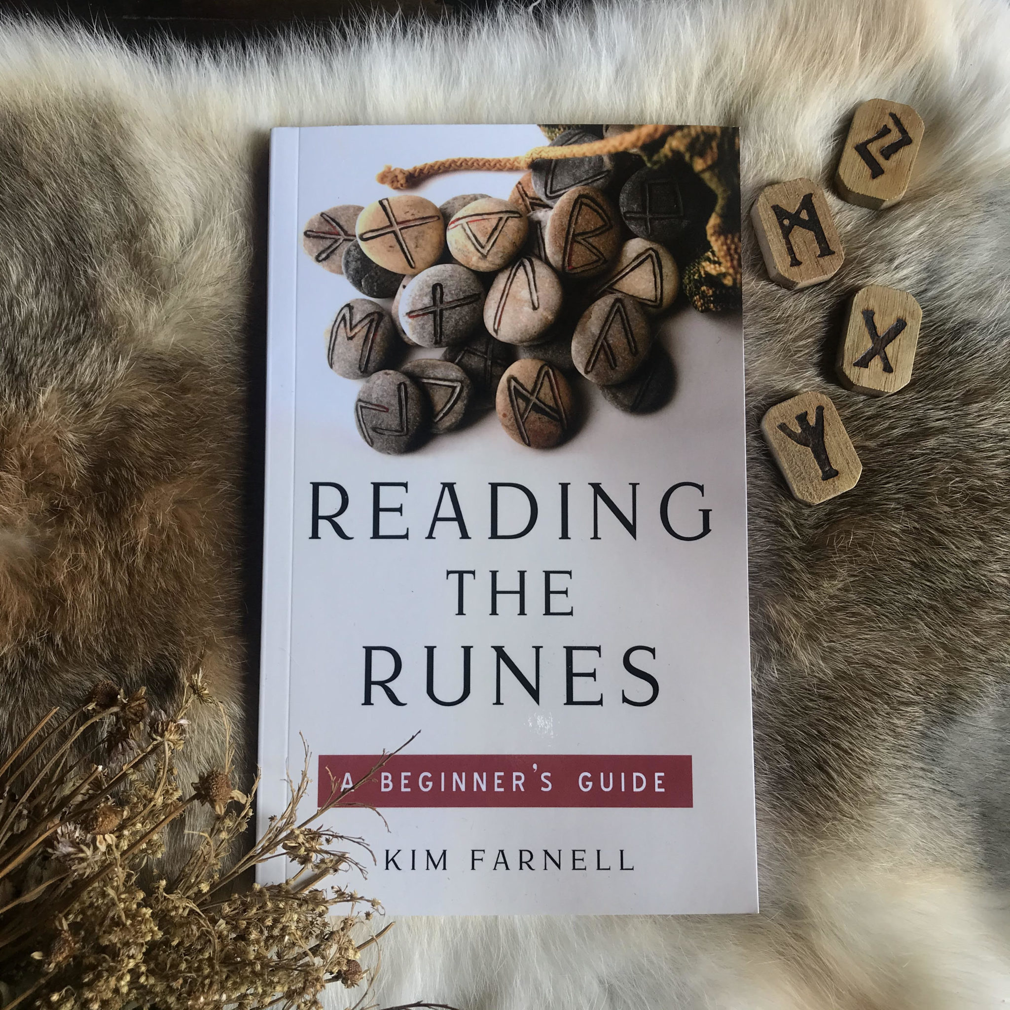 Reading the Runes A Beginner's Guide. By Kim Farnell. RitualCravt