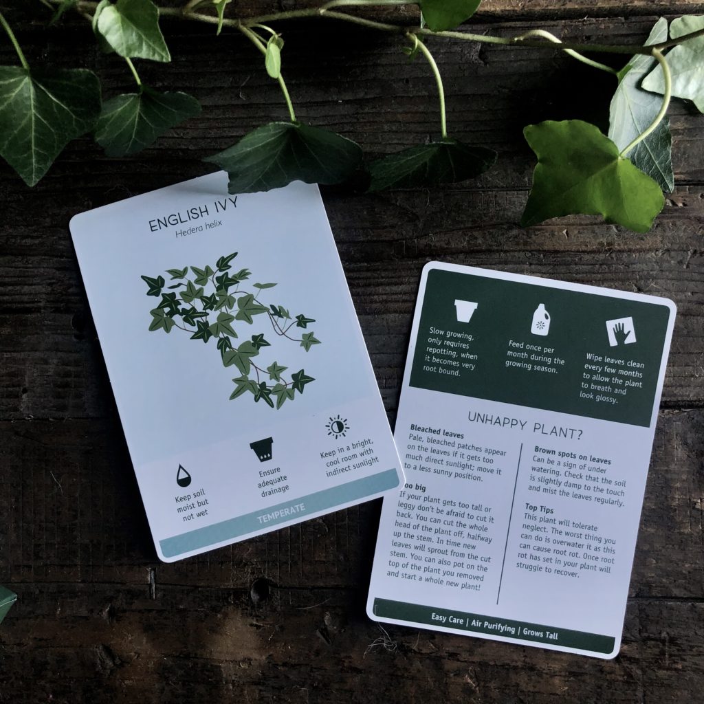 Houseplant Care Cards. RitualCravt Wheat Ridge, CO