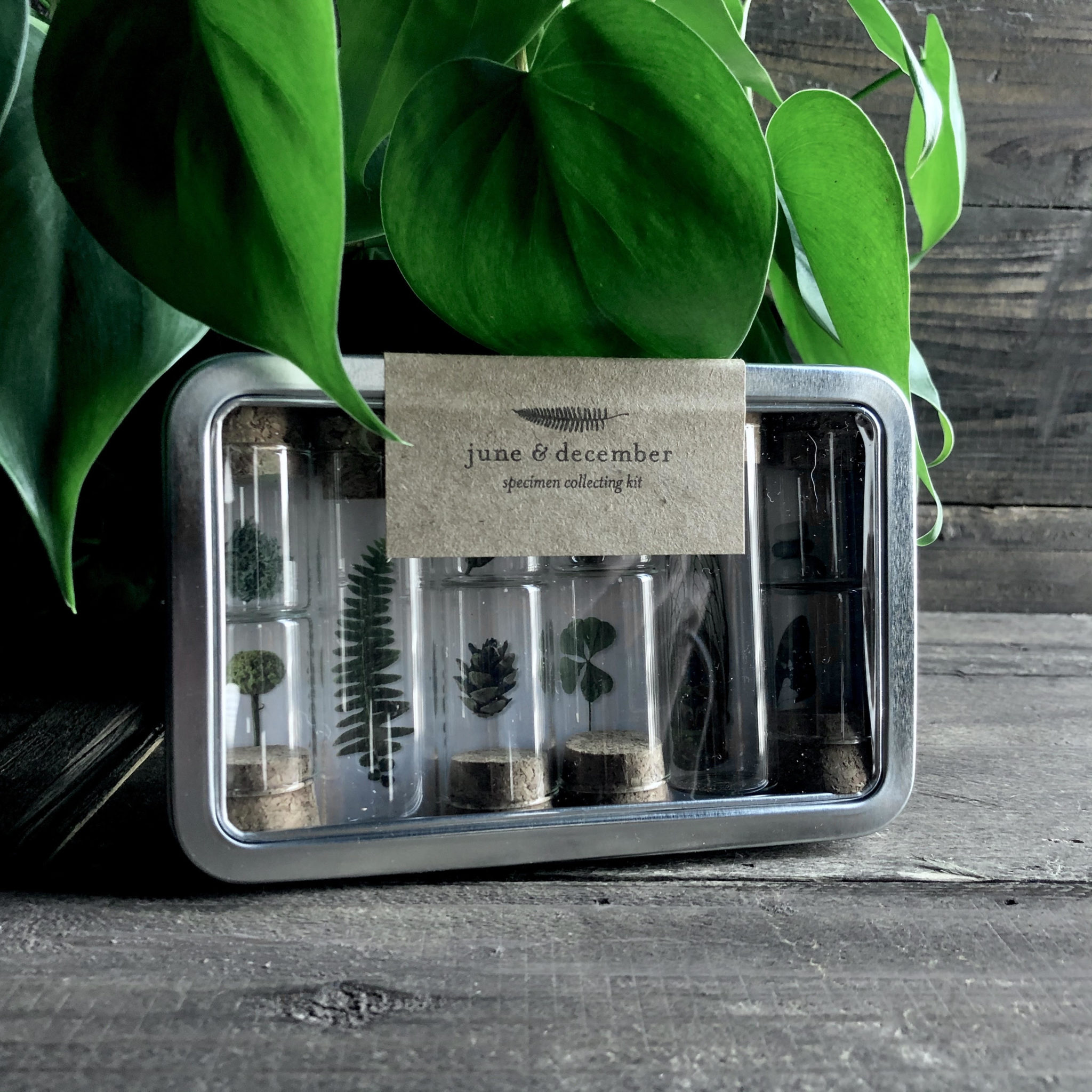 Specimen Collecting Kit. RitualCravt Wheat Ridge, CO