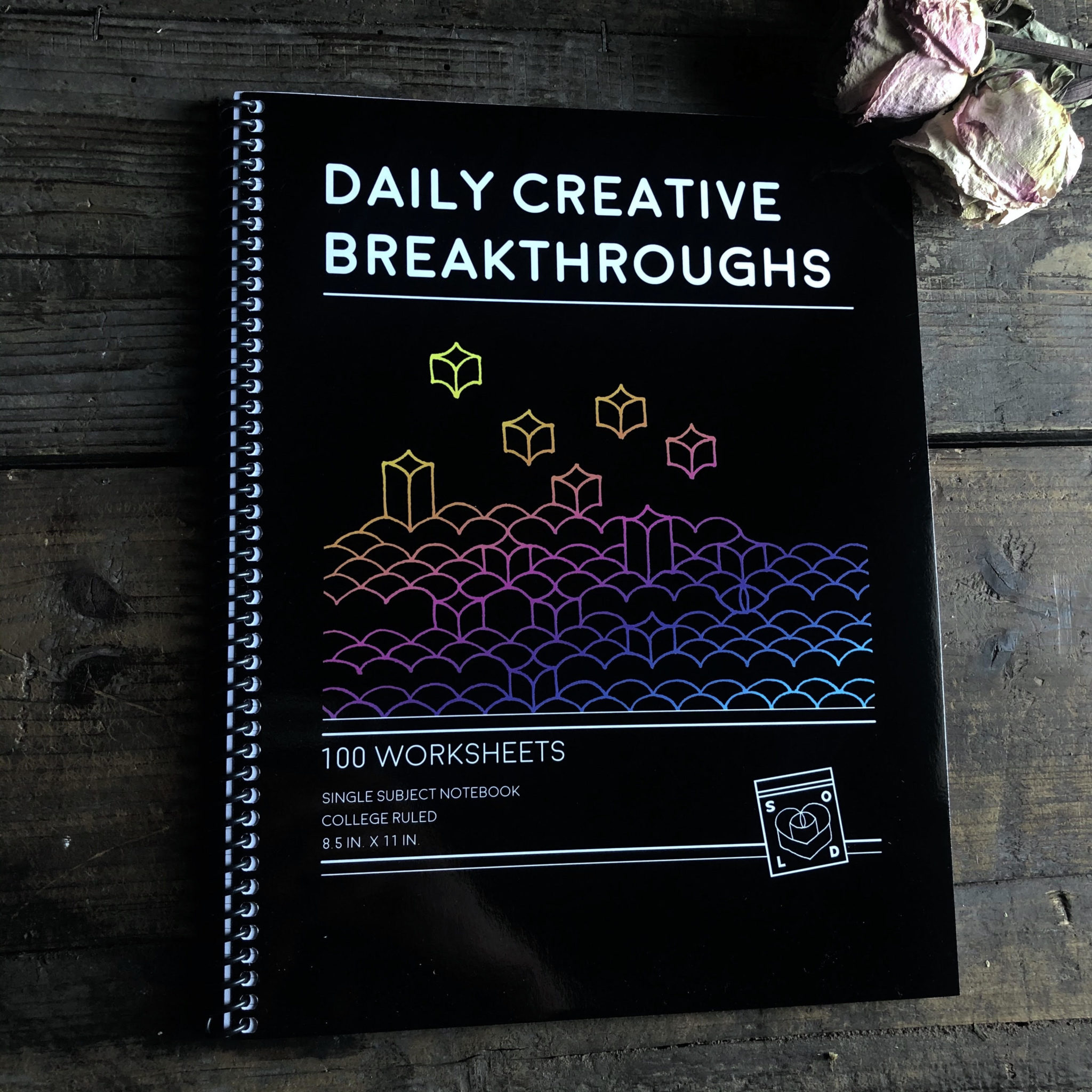 How Iliza Sch Turns Challenges Into Creative Breakthroughs