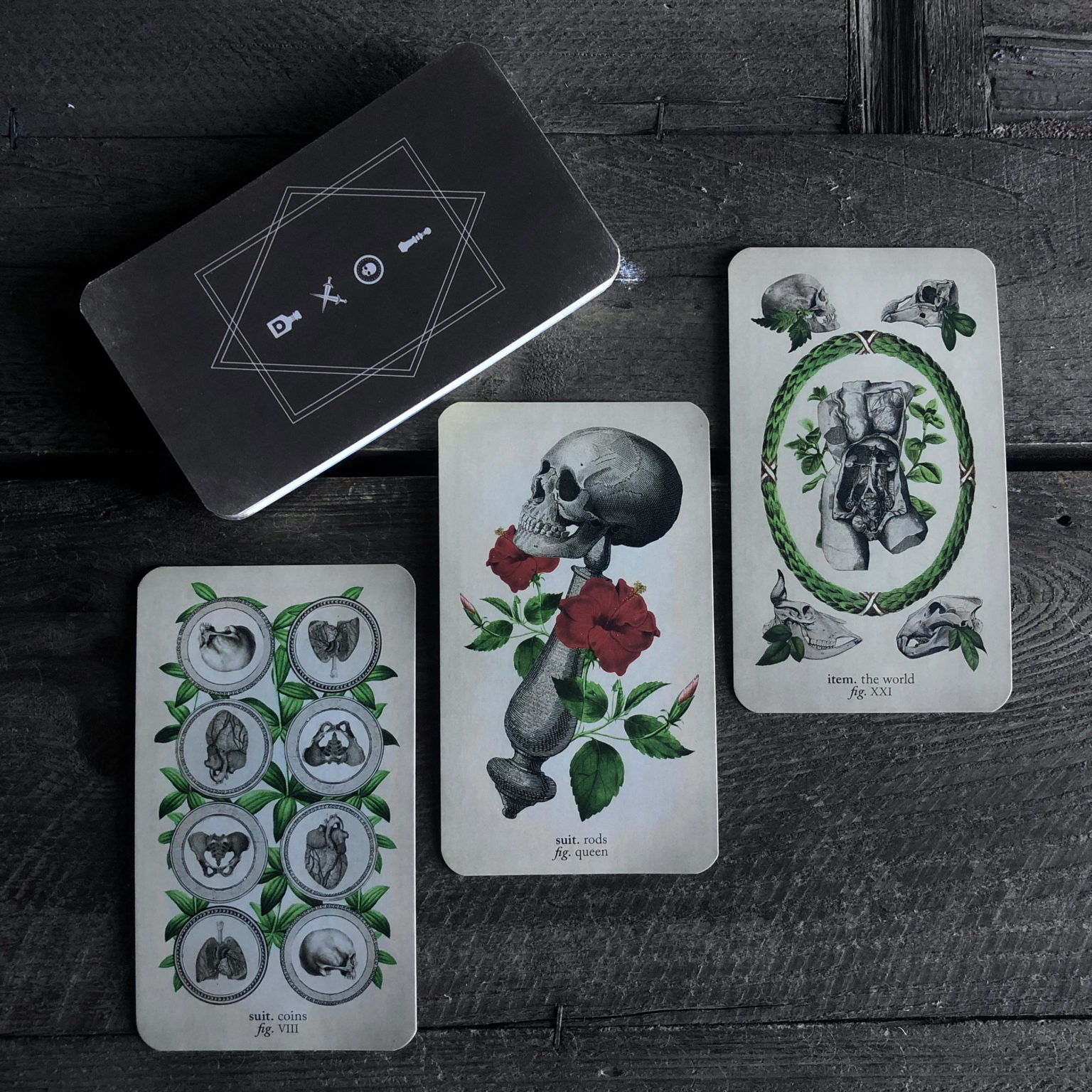 The Antique Anatomy Tarot. - RitualCravt | Metaphysical & Witchy Wares