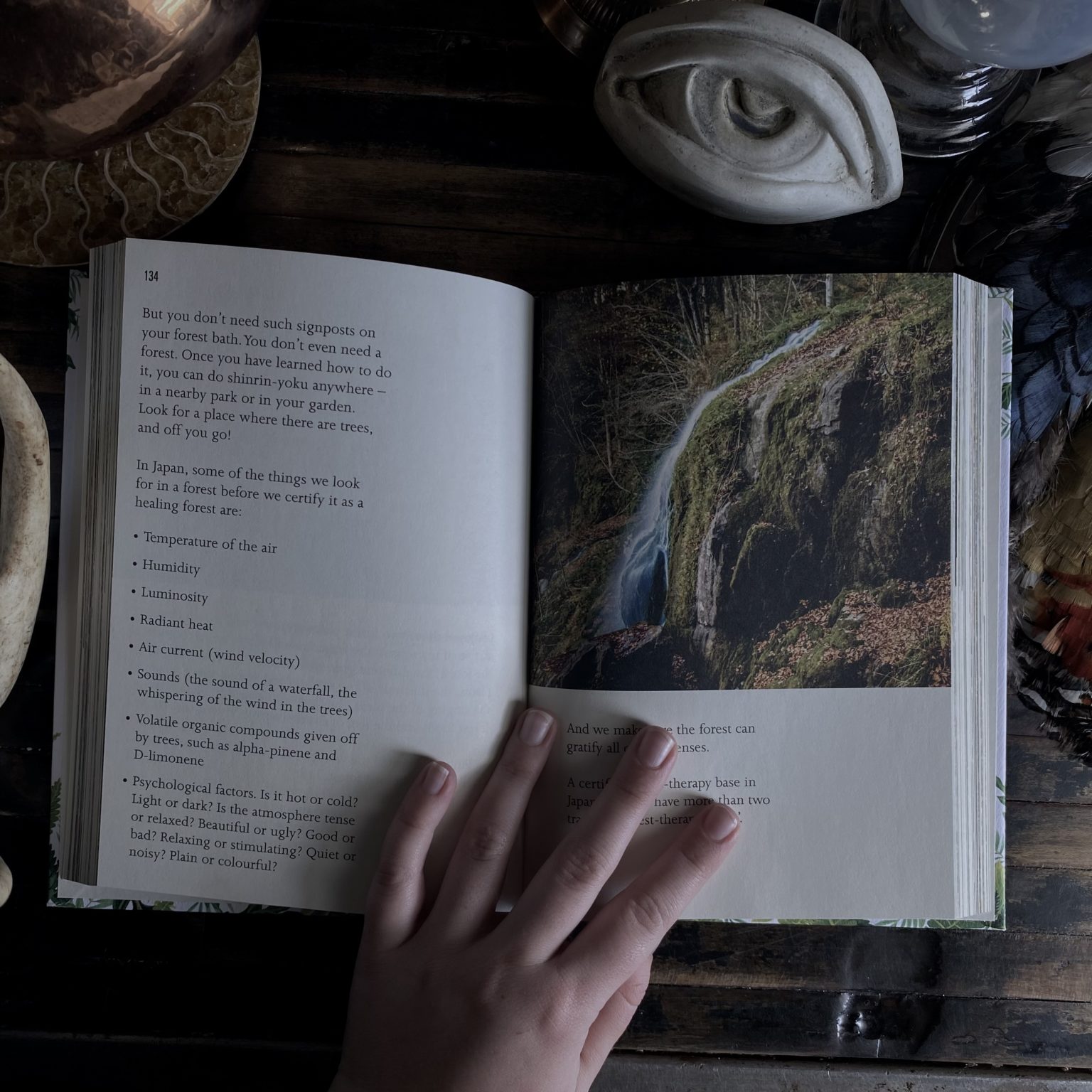 Forest Bathing. How Trees Can Help You Find Healing & Happiness. Qing