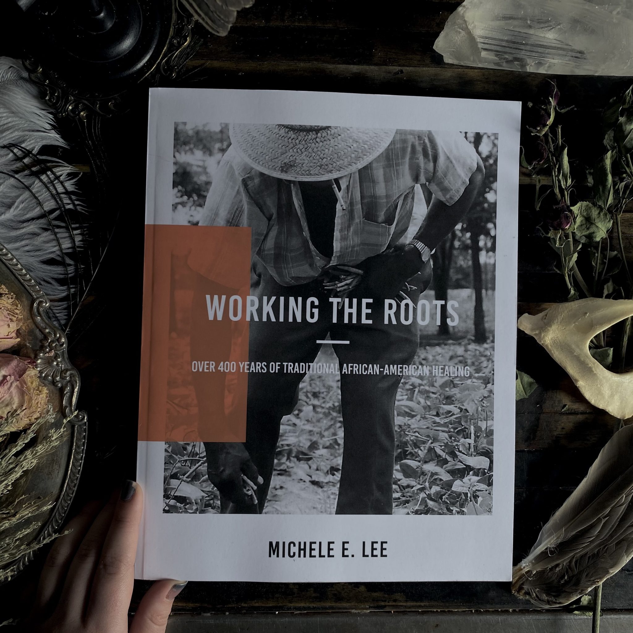 Working The Roots by Michele Elizabeth Lee Working The Roots by Michele Elizabeth Lee