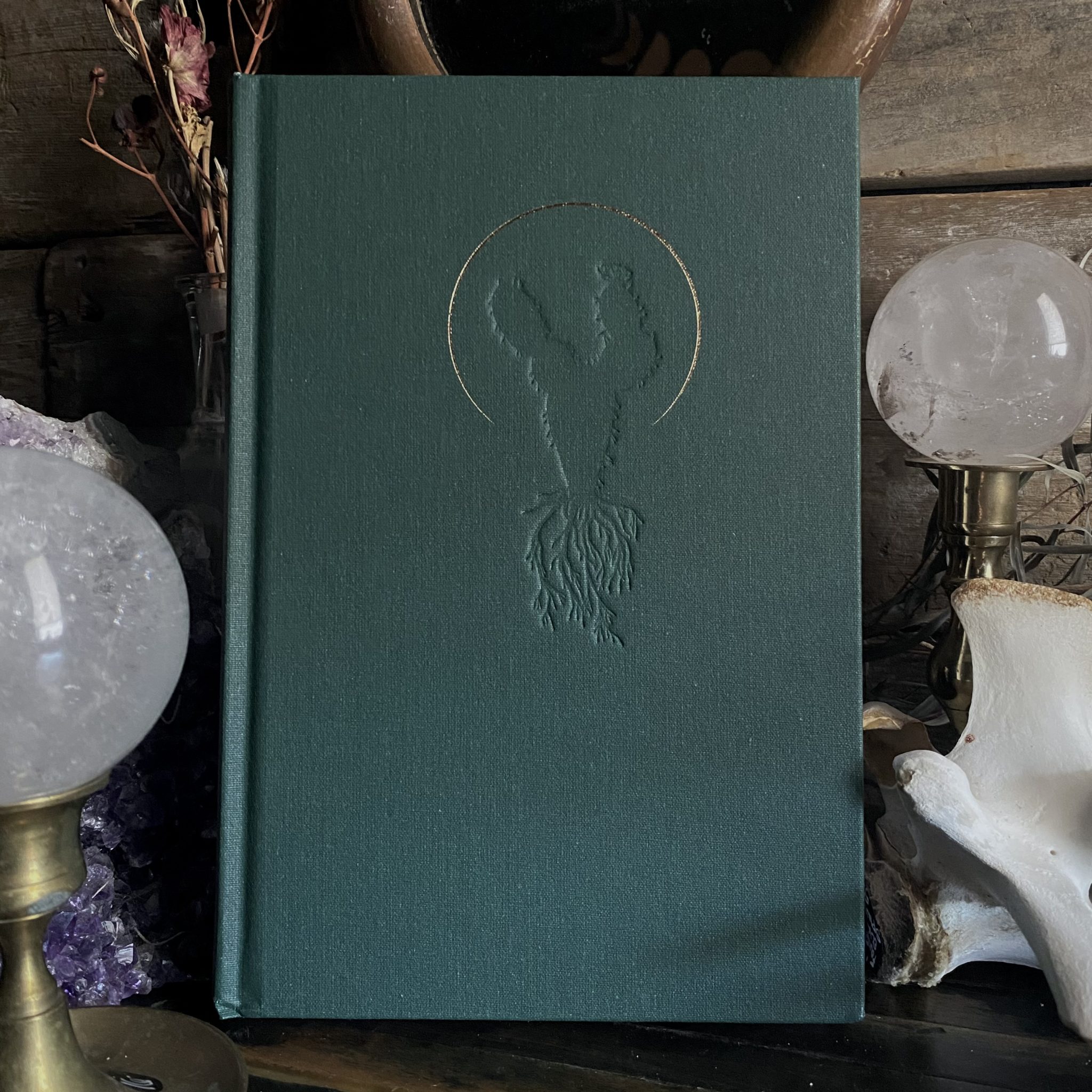 Grow a Damn Plant Journal RitualCravt Denver CO