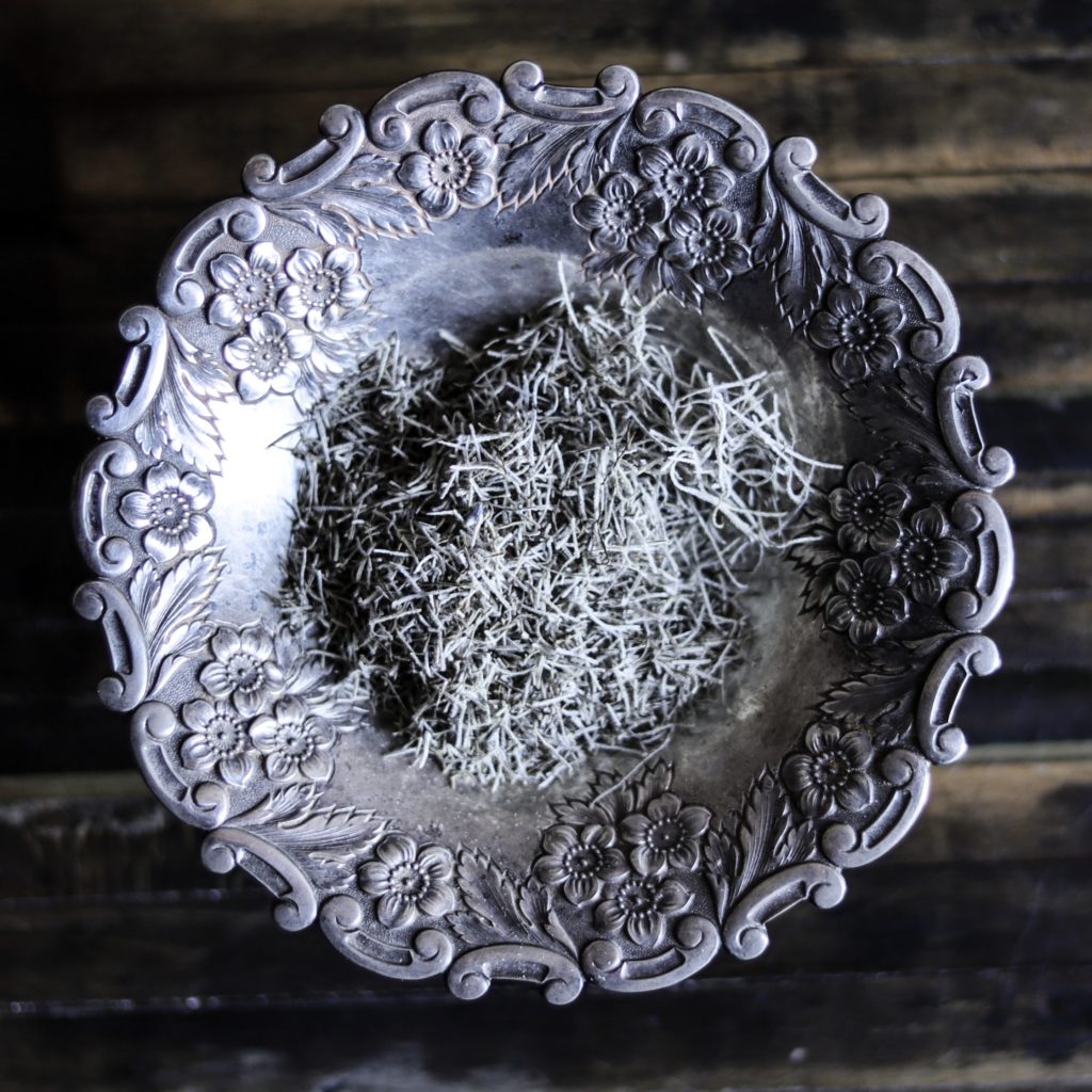 Spanish Moss. RitualCravt Metaphysical & Witchy Wares