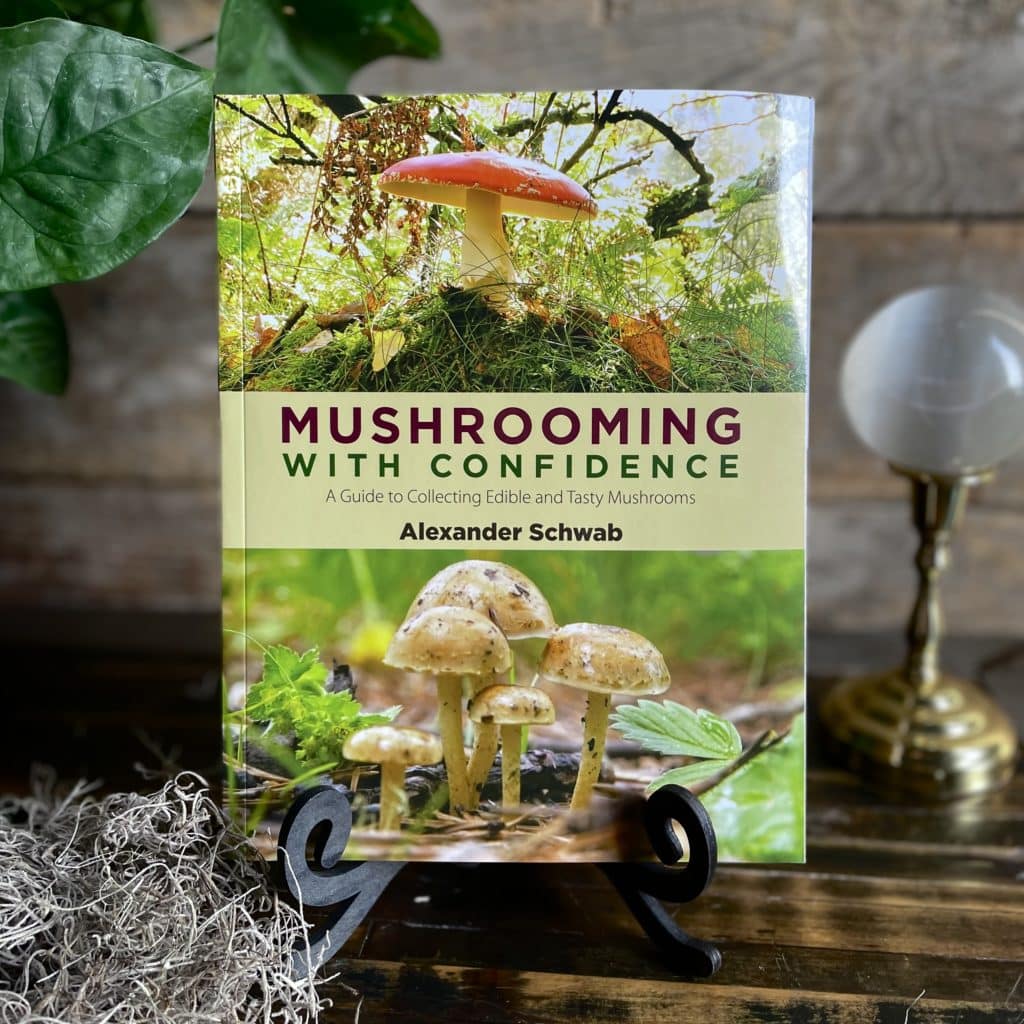 Mushrooming with Confidence A Guide to Collecting Edible and Tasty